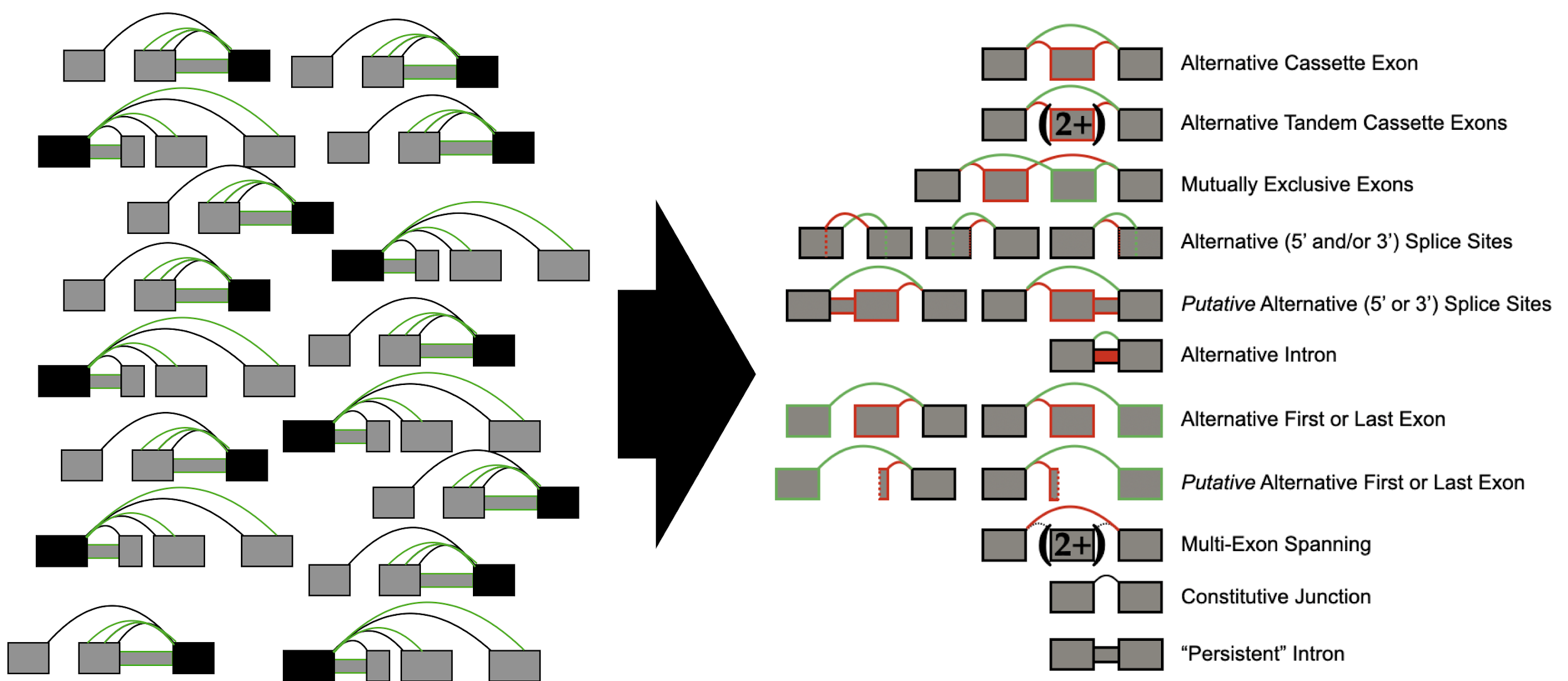 voila-modulizer