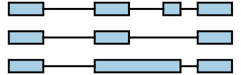 transcript models as seen in genome browser