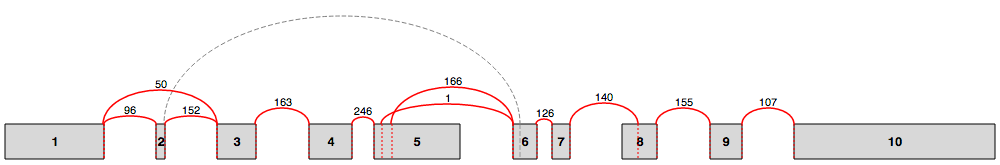 Splice graph in Voila